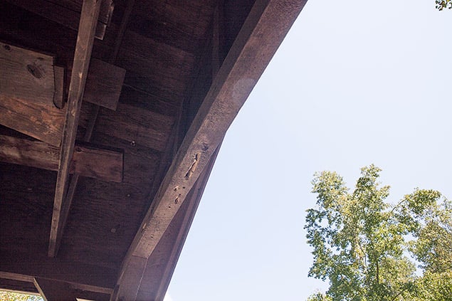 D850 Field Test Part II image 31