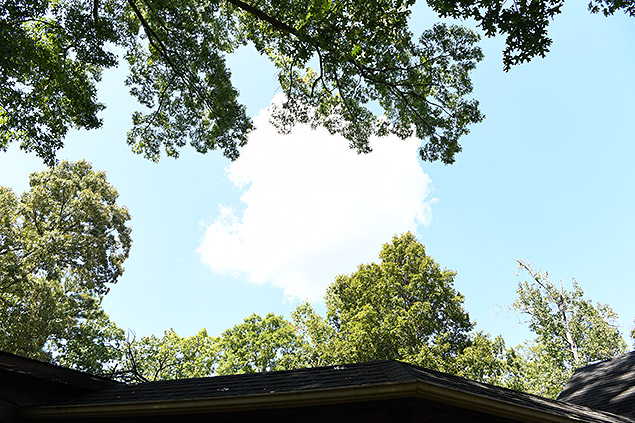 D850 Field Test Part II image 33