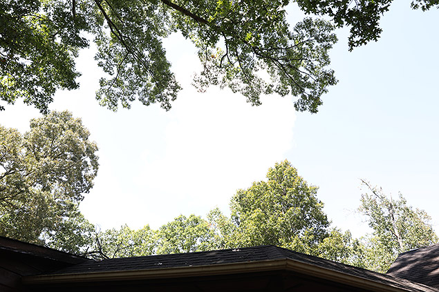 D850 Field Test Part II image 34