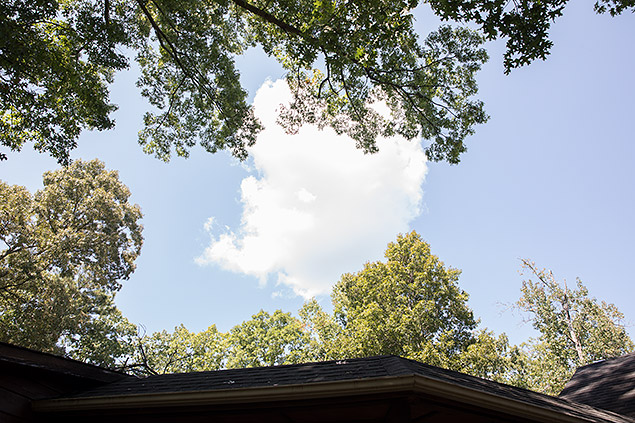D850 Field Test Part II image 36