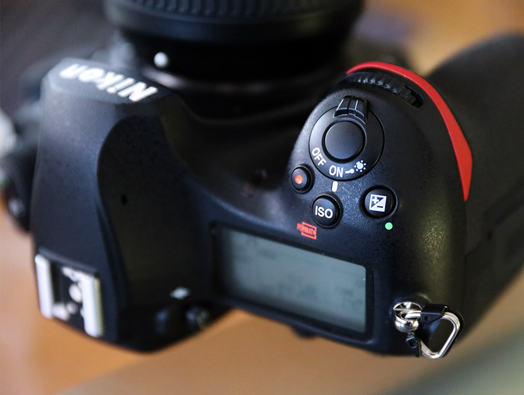 D850 Field Test Part II image 7