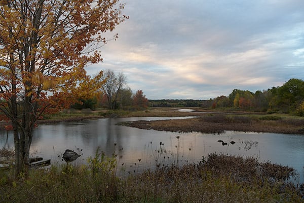 D850 Field Test Part III image 6