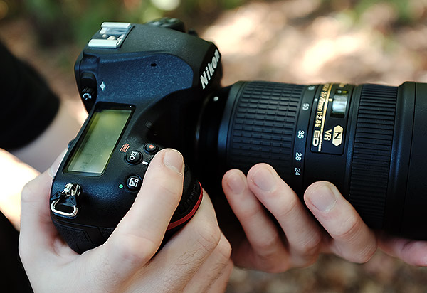 D850 Conclusion image 4