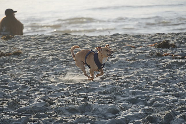 A6400 Field Test Part II image 4