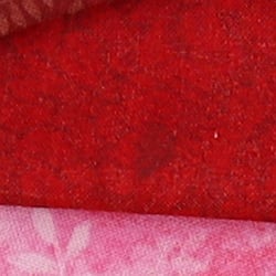 RP Image Quality image 17