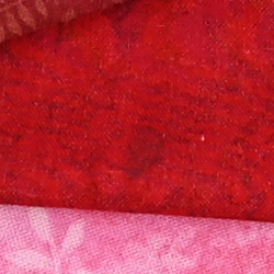Z6 Exposure image 22