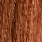 Z6 Exposure image 28