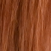 Z6 Exposure image 32