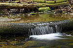 Z6 Gallery image 1