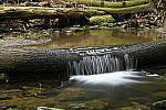 Z6 Gallery image 3