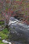 Z6 Gallery image 11
