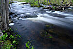 Z6 Gallery image 13