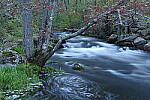 Z6 Gallery image 19