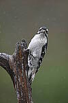 Z6 Gallery image 33
