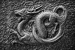 Z6 Gallery image 47