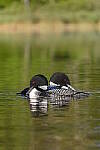 Z6 Gallery image 85