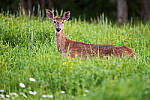 Z6 Gallery image 99