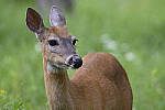 Z6 Gallery image 103