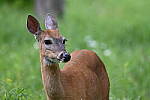 Z6 Gallery image 105