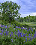 Z6 Gallery image 107