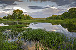 Z6 Gallery image 111