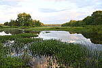 Z6 Gallery image 113