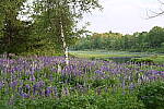 Z6 Gallery image 117