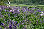 Z6 Gallery image 121