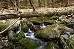 Z6 Gallery image 123