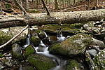 Z6 Gallery image 125