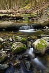 Z6 Gallery image 127