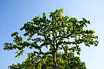Z6 Gallery image 151