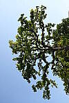 Z6 Gallery image 153