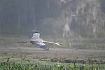 Z6 Gallery image 181