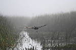 Z6 Gallery image 195