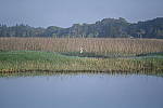 Z6 Gallery image 203