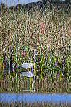 Z6 Gallery image 205