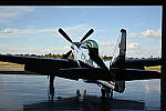 Z6 Gallery image 207