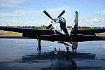 Z6 Gallery image 209