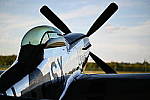 Z6 Gallery image 211