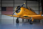Z6 Gallery image 219