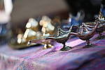 Z6 Gallery image 273
