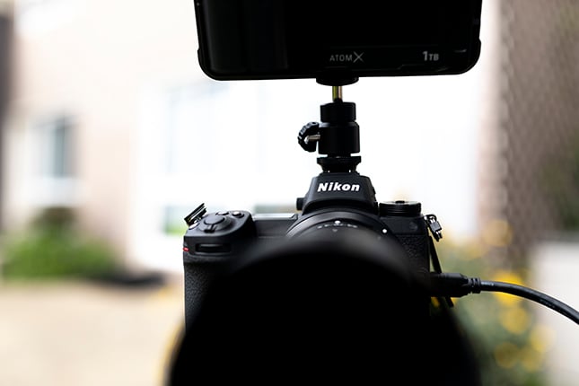 Z6 Video image 4
