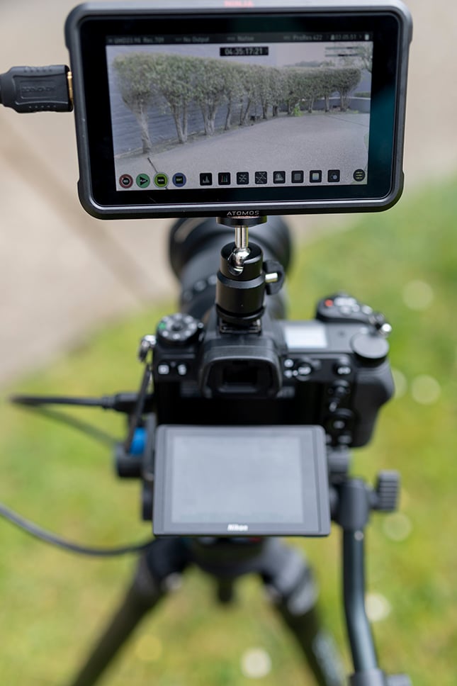 Z6 Video image 6