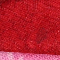 Z6 Image Quality image 6