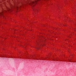 Z6 Image Quality image 17