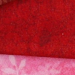 Z6 Image Quality image 18