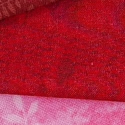 Z6 Image Quality image 24