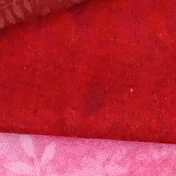 Z6 Image Quality image 35