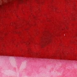 Z6 Image Quality image 48